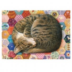 Lesley Anne Ivory Gemma Asleep on Pink Patchwork Card