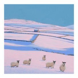 Sue Scott Suspicious Sheep Card