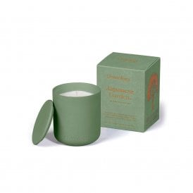 Japanese Garden Scented Candle - Apple Pomegranate and Musk