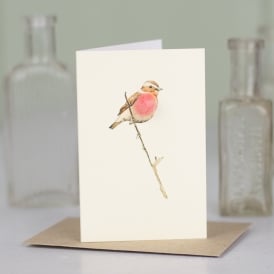 Whinchat Mini Card