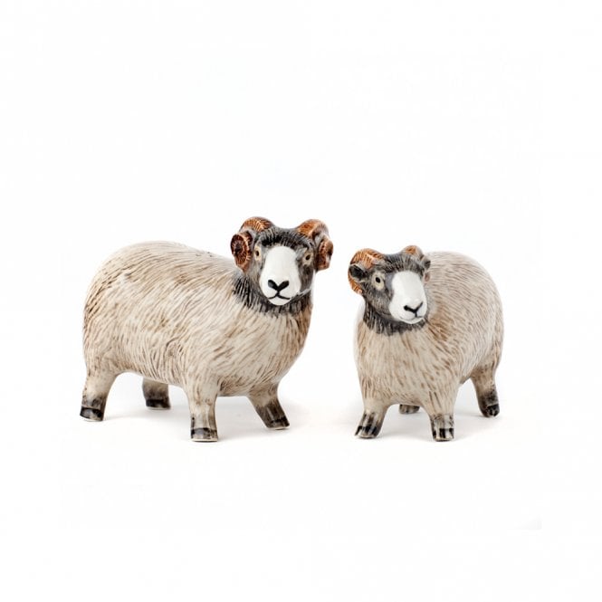 Quail Ceramics Swaledale Sheep Salt and Pepper Shakers