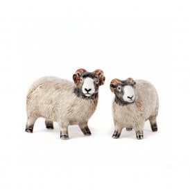 Swaledale Sheep Salt and Pepper Shakers