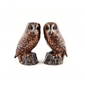 Tawny Owl Salt & Pepper Shakers