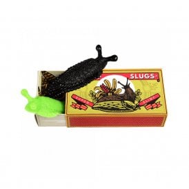 Box of Two Slimy Slugs
