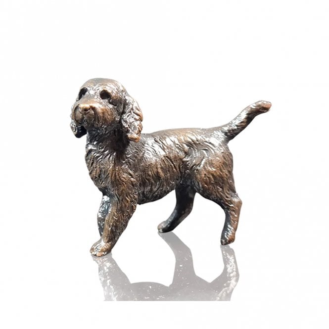 Richard Cooper Bronze Limited Edition Bronze Cockapoo