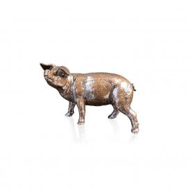Limited Edition Bronze Gloucester Old Spot