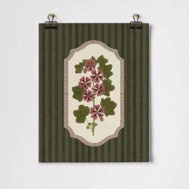 Living Herbarium Geranium A3 Unframed Print