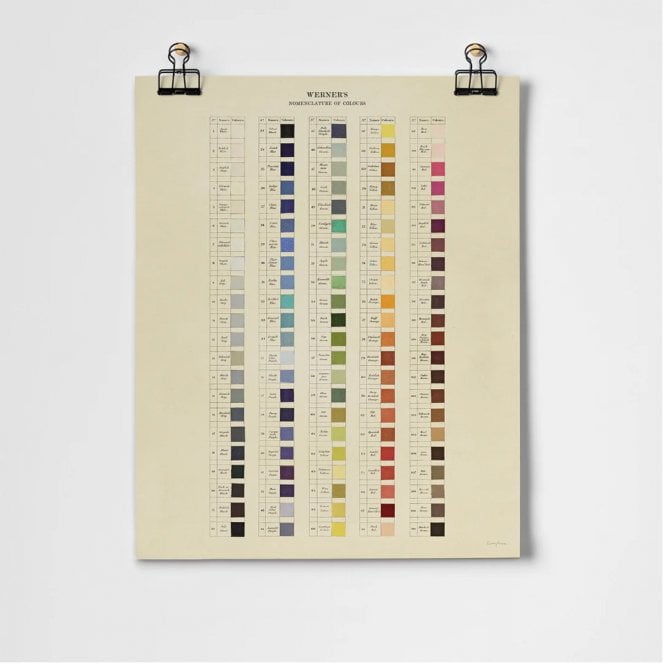 Roomytown Werners Nomen of Colours A3 Unframed Print