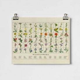 Wildflowers A3 Unframed Print