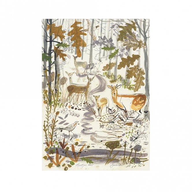 Sam Wilson Studio Muntjac Deer Unframed Print