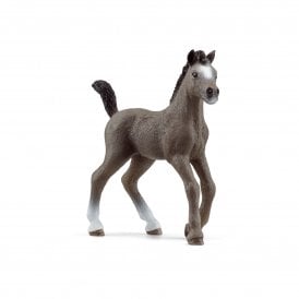 Selle Français Foal Toy Figurine