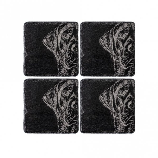 Selbrae House Labrador Slate Coaster Set of 4