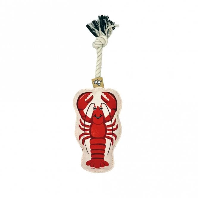 Speckle & Spot Pet Rope Dog Toy - Lobster