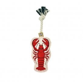 Speckle & Spot Pet Rope Dog Toy - Lobster