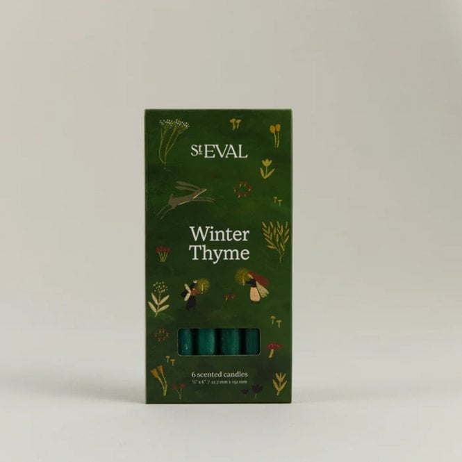 St. Eval Winter Thyme 1/2