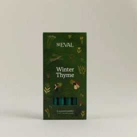 Winter Thyme 1/2" x 6" Candle Pack