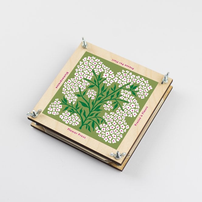 Studio Wald Forget Me Not Large Flower Press