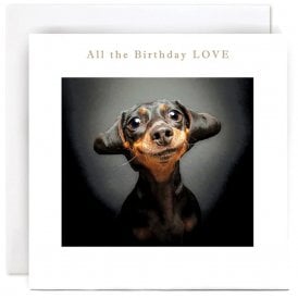 All The Birthday Love Card