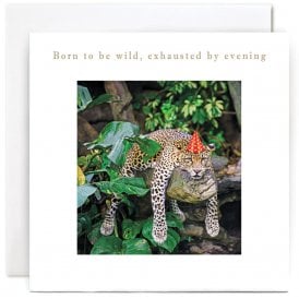 Born to be Wild Card