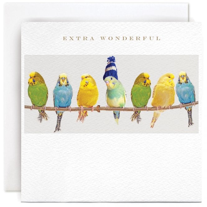 Susan O'Hanlon Extra Wonderful Card