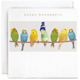 Extra Wonderful Card