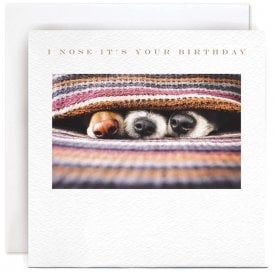 I Nose It's Your Birthday Card