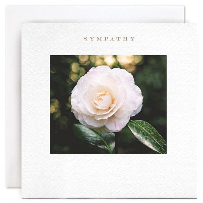 Susan O'Hanlon Rose Sympathy Card