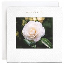 Rose Sympathy Card
