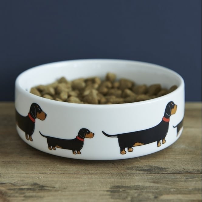 Sweet William Dachshund Small Dog Bowl