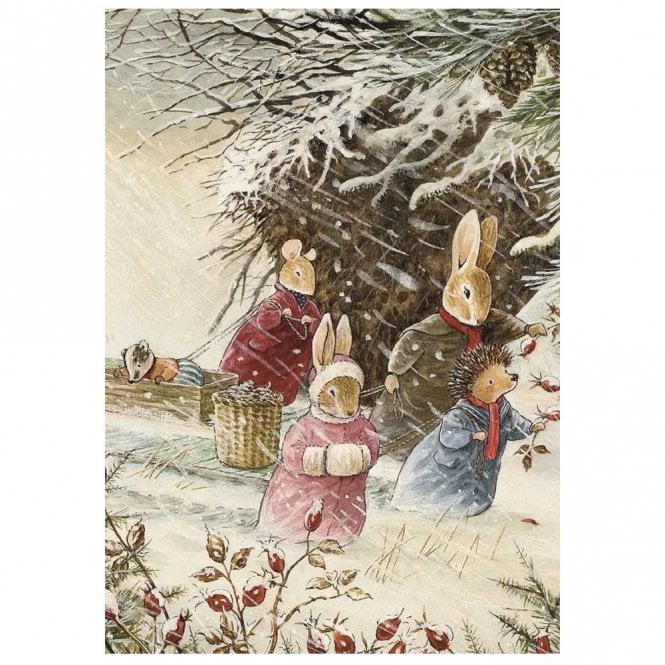 The Porch Fairies Brian Paterson It's Snowing Pack of 8 Christmas Cards