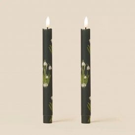 Snowdrop Evergreen Flameless LED Wax Candles