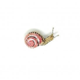 Blinking Snail Beaded Brooch
