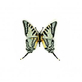 Scarce Swallowtail Butterfly Beaded Brooch