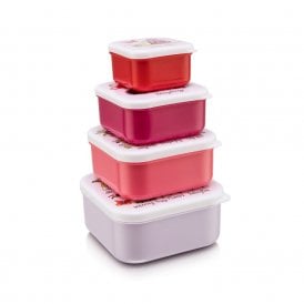 Secret Garden Set of 4 Snack Boxes