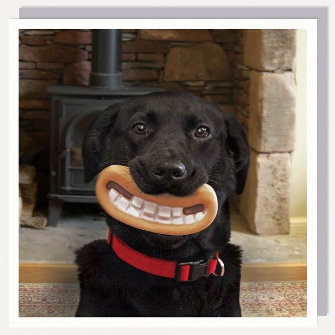 USTUDIO Design Smile Gromit Card