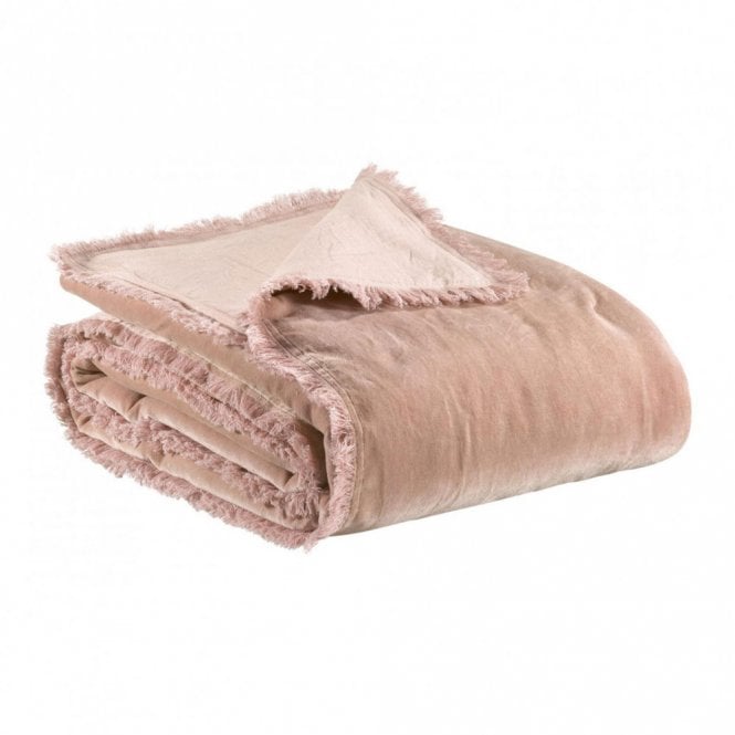 Vivaraise Fara Velvet Throw - Pink